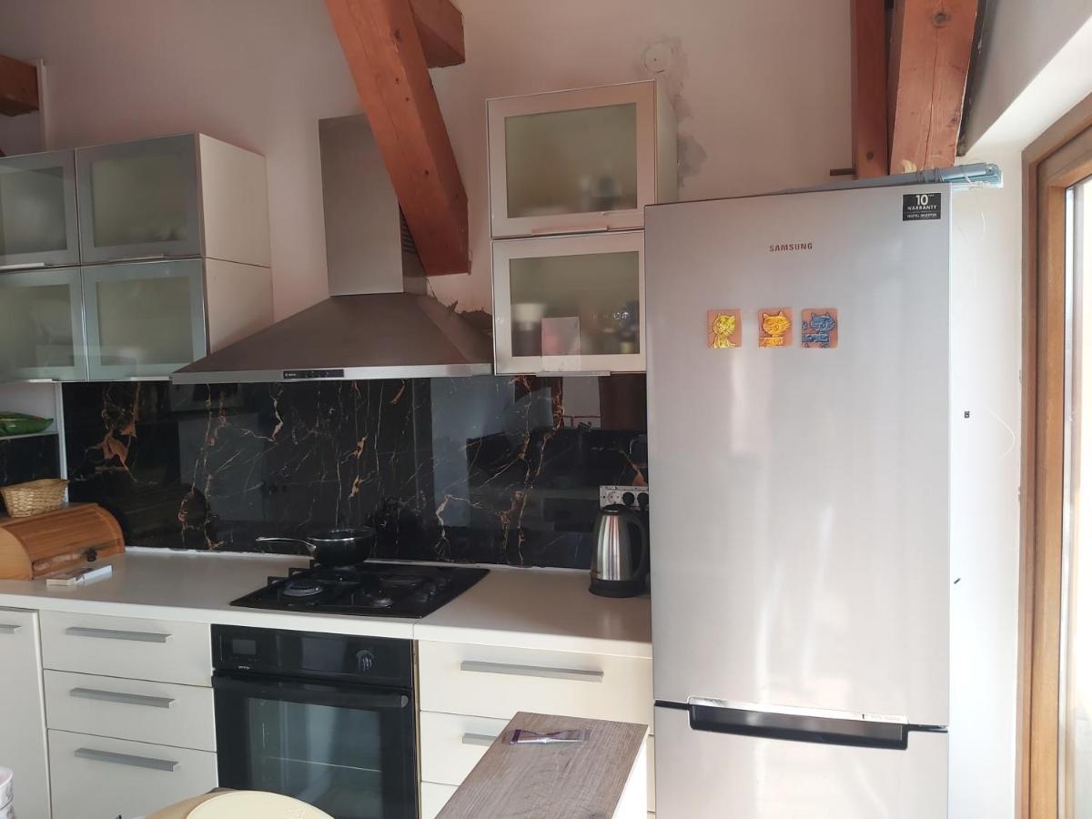 Apartment Delfar Penthouse Rovinj